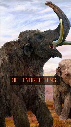 Why Woolly Mammoths Went Extinct Explained on Joe Rogan