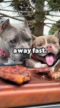 My roommate kept sneaking into my bed during storms, and I finally found out why at night