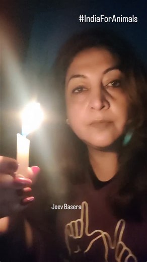 Jeev Basera on Instagram: "500 dogs were killed in Telangana. Not because they were dangerous— but because humans chose cruelty over compassion. Community dogs are not a threat. They are a part of our society. They suffer because of lack of knowledge, lack of empathy, and lack of understanding of coexistence. Dogs are not dangerous. Humans are dangerous—to dogs and to all animals— because animals are the ones who bear the cruelty, silently. This is not just about Telangana. This is about our min