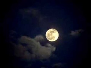 Clair de Lune / Jesus Loves Me STEVE HALL, piano