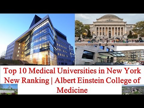 Top 10 MEDICAL UNIVERSITIES IN NEW YORK New Ranking | Albert Einstein College of Medicine