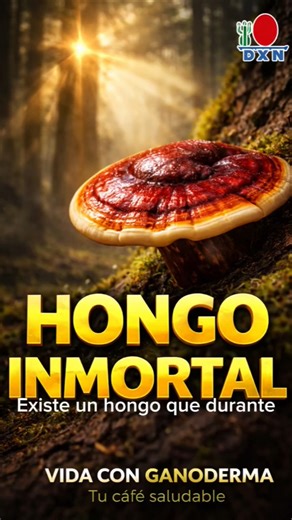 EL HONGO INMORTAL 🍄 | ¿Qué es el Ganoderma? #vidaconganoderma #ganoderma #cafeconganoderma #dxn