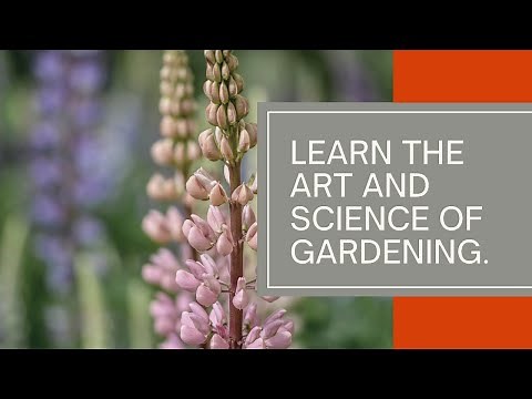Learn the Art and Science of Gardening with OSU's Online Home Horticulture Program