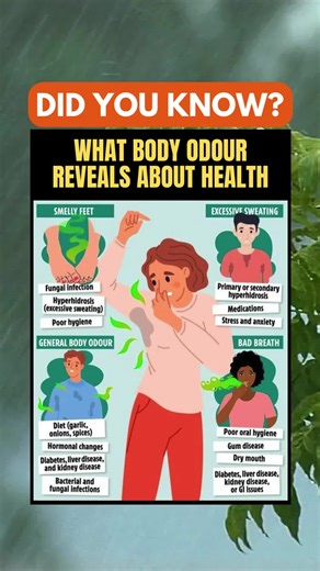 What Your Body Odor Is Trying to Tell You 👃⚠️ - Smelly feet, bad breath, or strong body odor? Your scent might be more than just a hygiene issue—it could be a health clue. This chart breaks down what different types of odor may reveal about your body. Time to sniff out the truth! 🧼🫢 #BodyOdorTips #HealthSignals #Wellness101