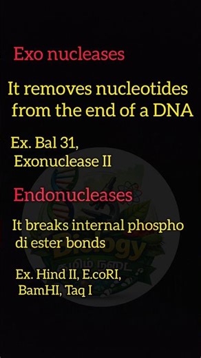 Exonuclease and Endonuclease | ‪@duraisir‬ | class 12 | biotechnology