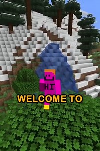 35K views · 999 reactions | Can You Spot The Fake Minecraft Fact?...