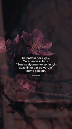 Yaradan’ın kuluna: 'Seni seviyorum ve senin için güzellikler var ediyorum... |İslamın izi #12