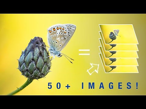 How to MASTER Focus Stacking