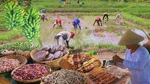 Full video on YouTube! | Joseph The Explorer