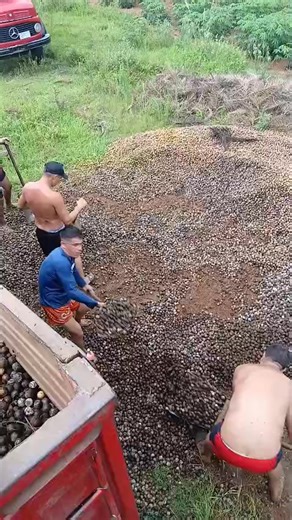 Videos de Daniel Pacheco (@daniel.pacheco546) con “sonido original - Félix Rojas308”