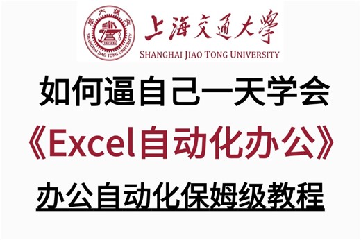 2025新版【Python处理excel自动化办公】入门到精通零基础教程，深度剖析 高级应用，不懂代码也能学！#python #excel #自动化办公！