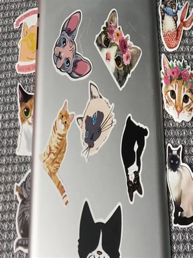 Playful kittens, sleepy cats & tiny cat doodles—each decal is a little dose of feline happiness ✨#CatStickers #KawaiiAesthetic #CutePetDecor