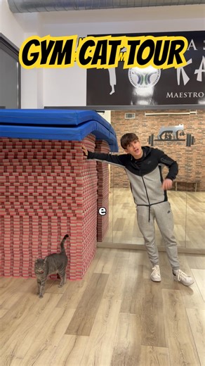 GRAZIE A UN GATTO TI FAI LA MIGLIOR PUBBLICITÀ😹 #palestra #tour #fitness #perte #allenamento #gym