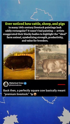 Why 19th-Century Farm Animals Look So… Square