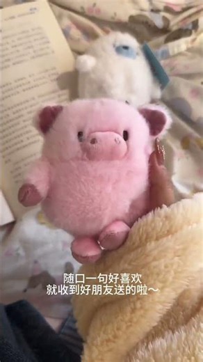 My good friend knew that I liked it, so he arranged a comfort doll for me. Good friend, doll, re