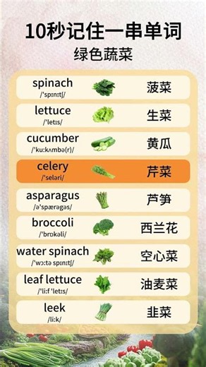 英语零基础入门｜英语高频词汇｜基础单词 #学英语必备单词 #学英语 #基础词汇 #口语提升 #自学英语 # #语法入门 #中英翻译