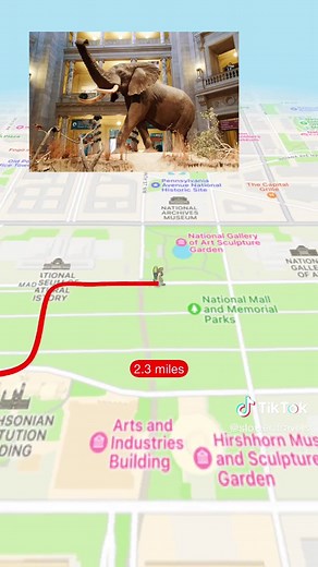 Washington DC tour 🚶#washingtondc #tour #map #guide #travelboast #traveltiktok #explore #whitehouse