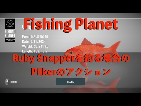 Fishing Planet 2024 Ruby Snapperを釣る場合のPilkerのアクション