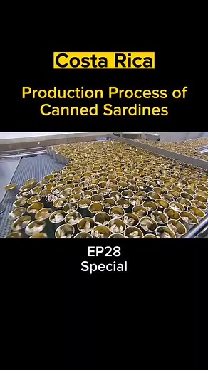 Sardines Production Process Explained