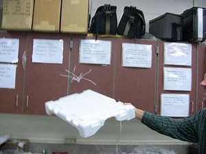 Electrostatic Levitation – ScienceToyMaker