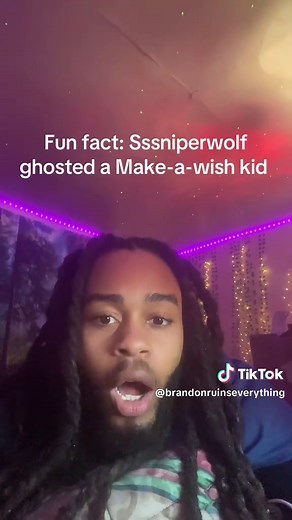 Sssniperwolf Allegedly Ghosted Make-a-Wish Kid