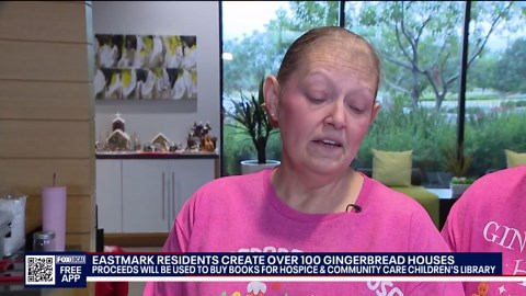 Eastmark residents made 100+ gingerbread houses