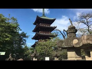 Understanding Rickets: The Vitamin D Deficiency in Children - Complete Guide