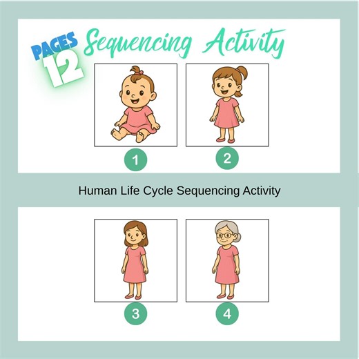 Human Life Cycle Sequencing Activity for Kids, Printable Story Cards - Etsy
