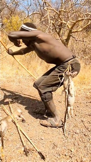 They Took Their Chance… Then the Wild Kept Its Secret | Bush Awareness!
