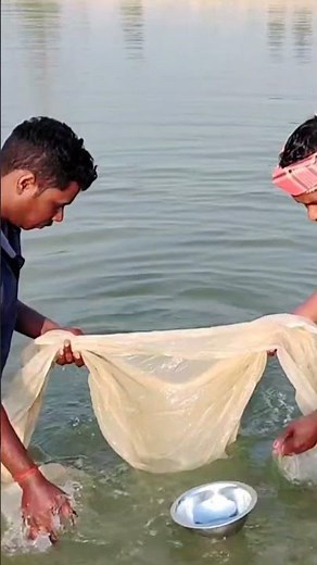 how to check plankton in pond #zooplankton #fishinfo