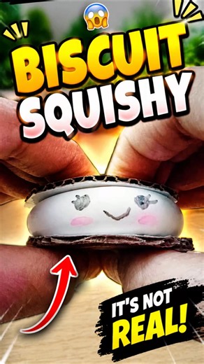 DIY Biscuit Squishy 🍪 So Satisfying! 🤯 subscribe