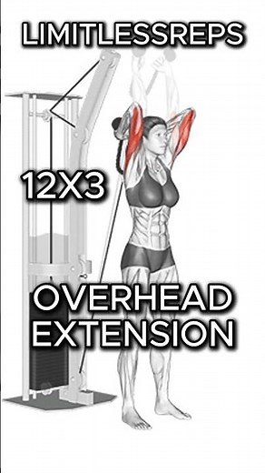 Tricep Isolation 🔥 Build Strength & Definition