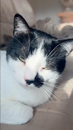 Had the honor to interview Elisa