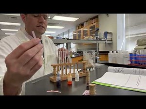 Lab 6 sodium hydroxide pH tests