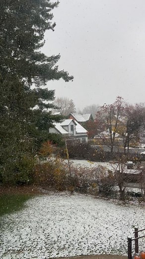 160 reactions · 45 comments | Morning view from my window… It took me...