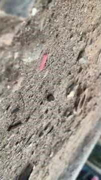 purono video but onek boro ekta sriti onek ki6u shikhiye6e amake 🥺🥲 #accident #youtubeshorts