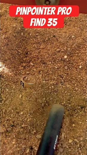 Best pinpointer by minelab #shortsfeed #metaldetecting #minelab