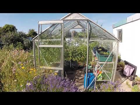 WaterMate mini greenhouse watering system