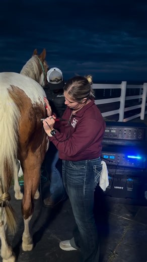 Equinessence® on Instagram: "The current ATS Equine Acuscope/Myopulse Certification Course is officially 50% completed! As we enter our second week of training, I want to express how proud I am of these women. In their first week, they have put in over 50 hours of training without shorter days and challenging weather….and they have not missed a beat! • Chelsea Jones, DC is in Utah • Berta Sencion (Vet Tech) in Gilroy, CA • Angelina Costa (Vet Tech) in Tracy, CA • Lakyn Rodriguez (Vet Tech) in Pa
