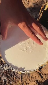 Pure rubber tree extraction 🌳 Save this... something big is coming 👀🌍 → @inspirgreen | Inspirgreen