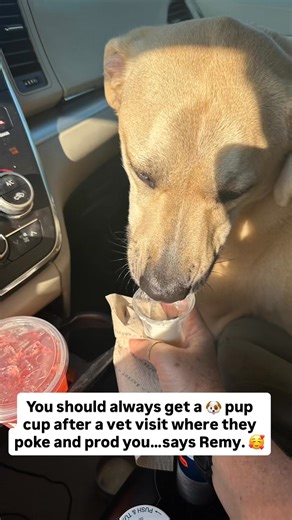 Jennifer Kraus NC5 on Reels