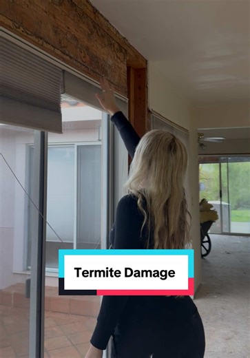 Understanding Termite Damage in 80s Home Renovation