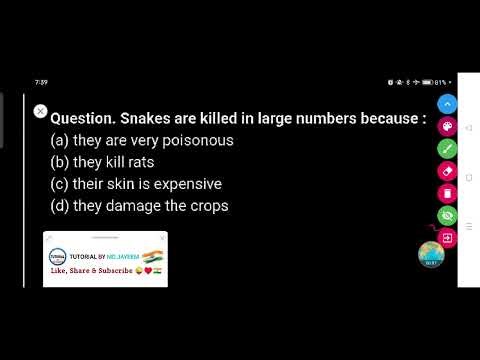 Snakes are killed in large numbers because :-