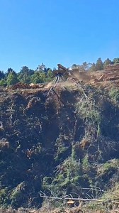 42K views · 1.3K reactions | Amazing Video logging USA 漢望 . . . . . #loaderman559 #woodwork #tigercub #ForestryEquipment #logging #mh60d #forestrymulching #johndeere #landclearing #johndeerforestry #forestry #texas #logginglife #logger #loggerlife #LoggingHistory #history #historia #wood #OMG #usa #woodenfurniture | Peake Warren | Facebook