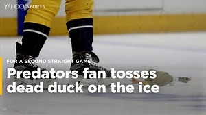 For the second straight game, a Nashville Predators fan threw a dead duck on the ice during their series against the Anaheim Ducks. | Yahoo Canada Sports