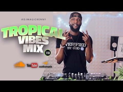 Tropical Vibes Mixtape 110 | Caribbean Mix 2022 [Afro-Dancehall ,Latin ,Soca]