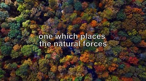 What if solving the ecological crisis depended on decolonizing our minds and altering our very cosmology? What if a biocentric worldview — one which places the natural forces shaping our world at the center of our morality — could help us access the courage we’ll need to stop the destruction? On October 21st, join us for special 3-hour live streaming event: Ecology of Spirit: Biocentrism, Animism, and the Environmental Crisis. The event begins at 1pm Pacific Time / 20:00 UTC Please RSVP and invi