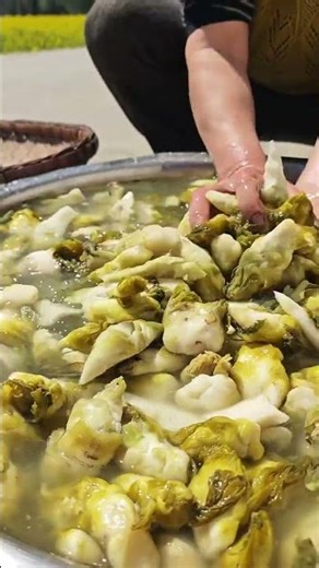 Ancient Craft: Sun-Drying Saltwater - A Journey to Rural Tranquility