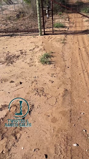 How many land owners/accessors need a lock on this gate?! Holy crap! If you walked up to this do you think you would want to live down this private road?? Teaser, I’ll be doing another video on this gate shortly! #gate #lock #access #easement #texasland | Twisted L Ranch Sales