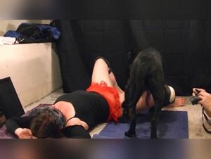 Open Slit, Animal Cum on Sand | Bestiality